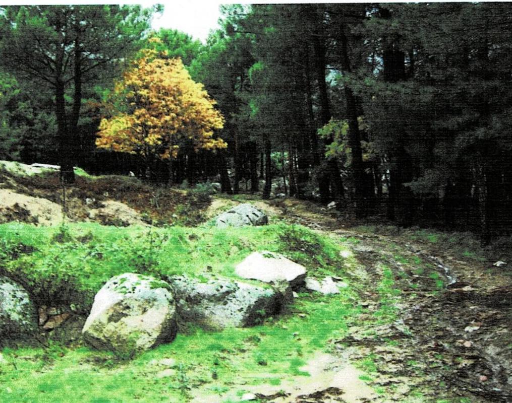 Участок земли на продажу в Матаэльпино, Мадрид photo 3