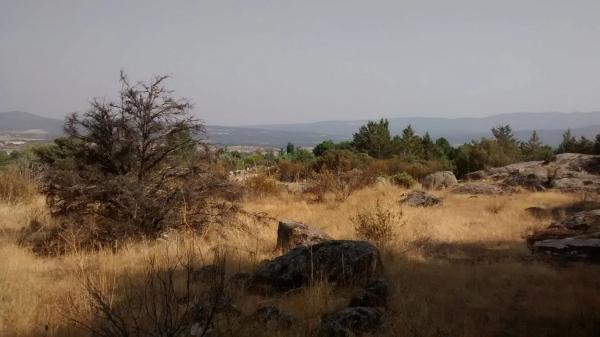 Terreno en reajo de san andres photo 1