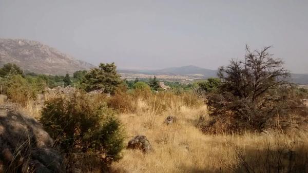 Terreno en reajo de san andres photo 2