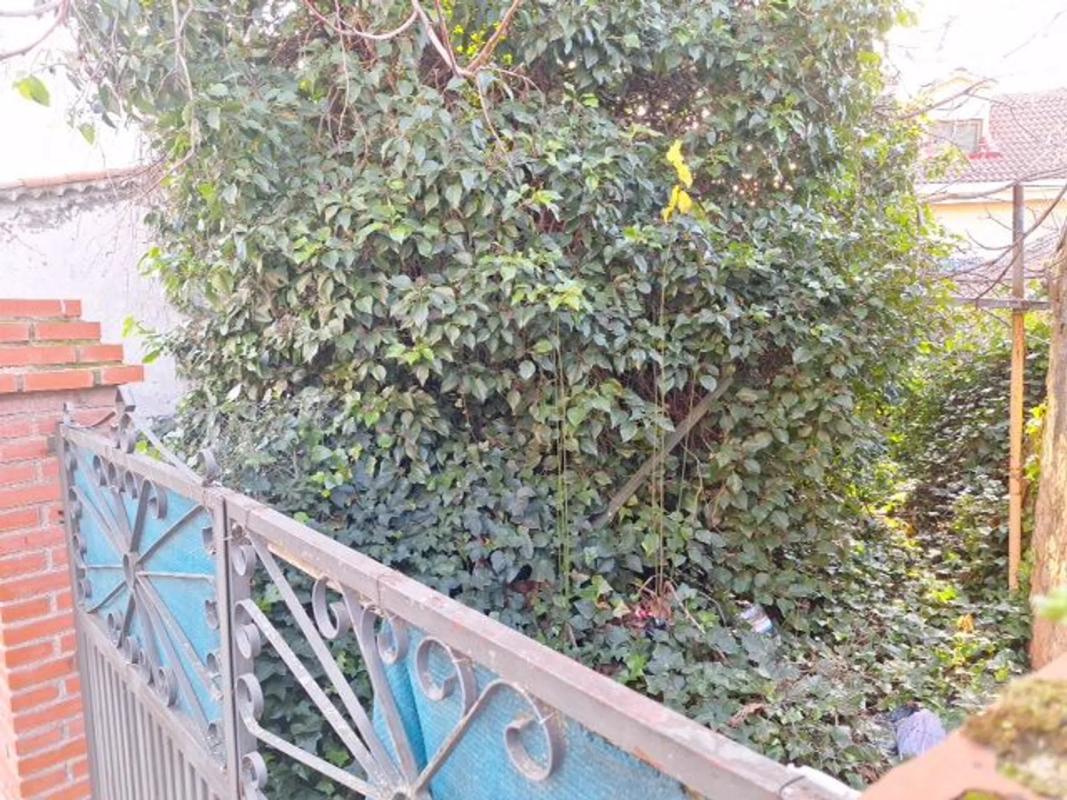 Terreno en venta en Moralzarzal, Madrid photo 2