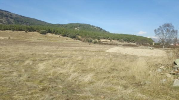Terreno en camino de Alpedrete thumbnail 2