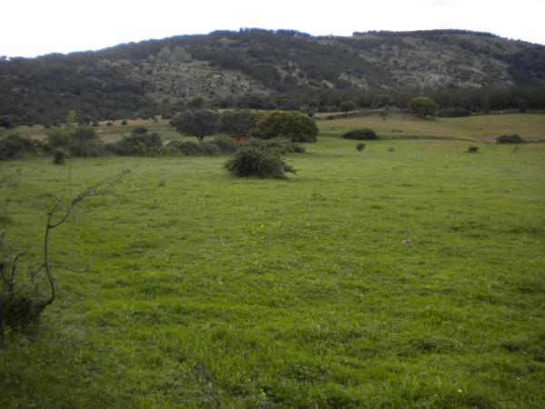 Terreno en camino de Alpedrete photo 4
