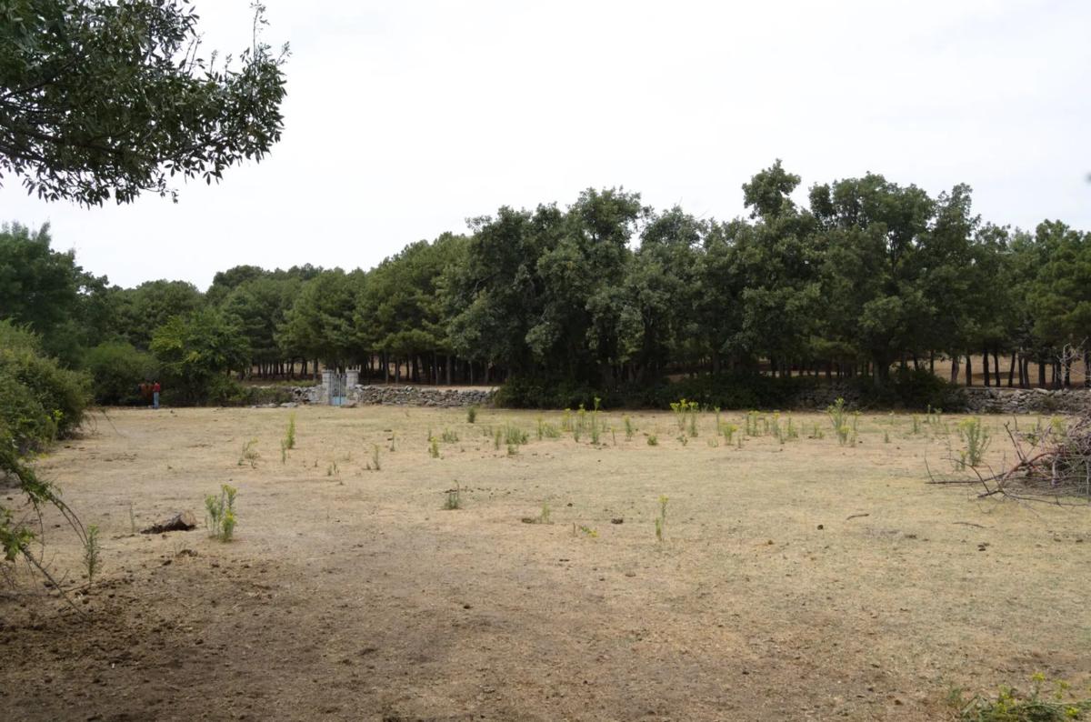 Land for sale in Moralzarzal, Madrid photo 3
