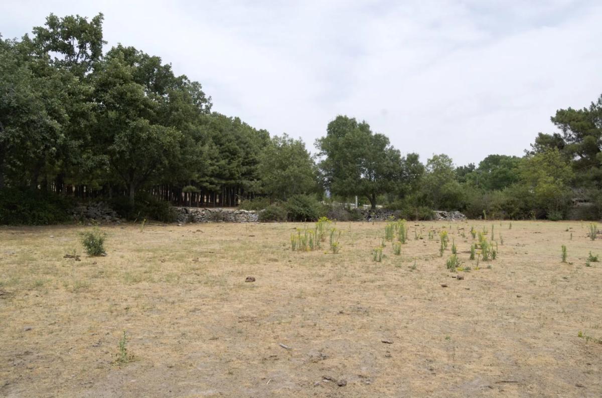 Land for sale in Moralzarzal, Madrid photo 5