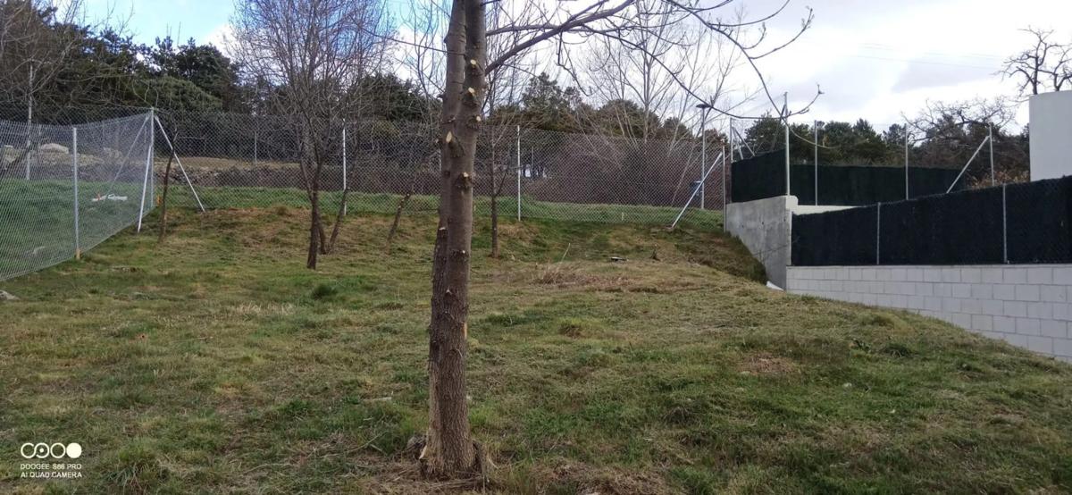 Terreno en venta en Moralzarzal, Madrid photo 3