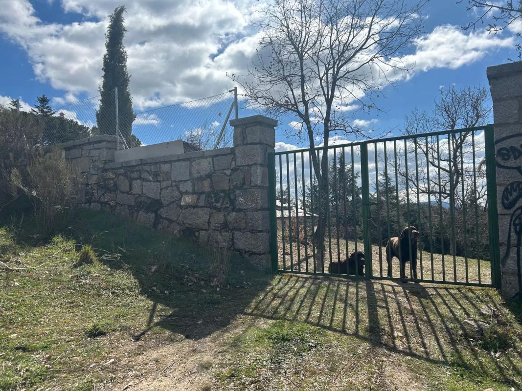 Terreno en venta en Navacerrada, Madrid photo 3