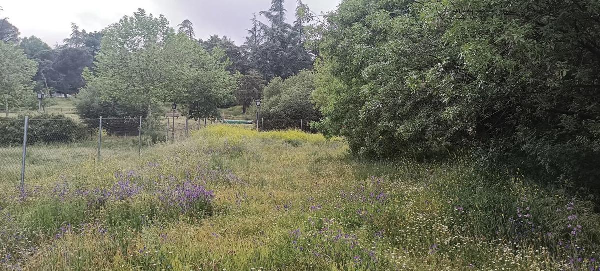 Terreno en venta en Navacerrada, Madrid photo 5