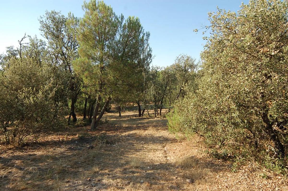 Terreno en venta en Pozuelo de Alarcón, Madrid photo 1