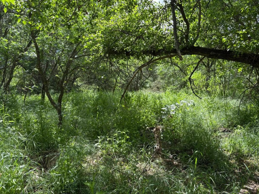 Terreno en venta en Pozuelo de Alarcón, Madrid photo 3