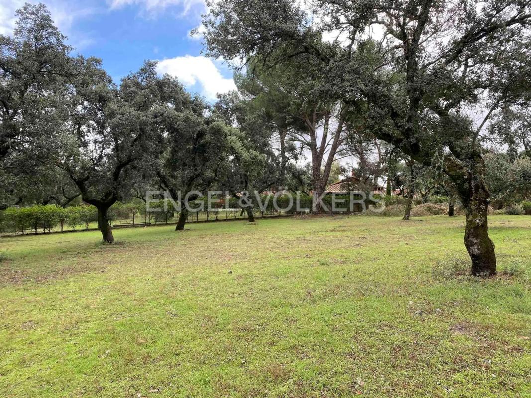 Terreno en venta en Pozuelo de Alarcón, Madrid photo 5