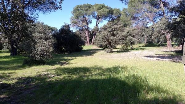 Terreno en calle Urb Las Encinas photo 1