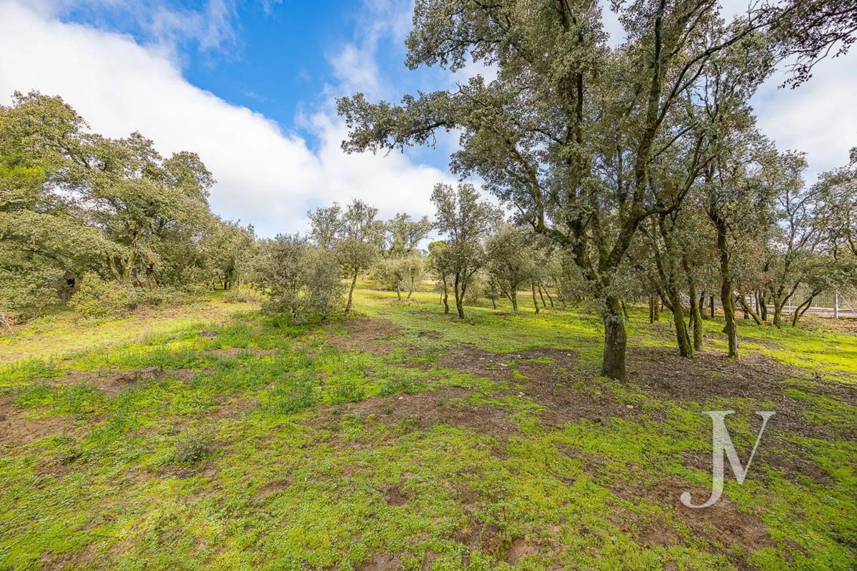 Land for sale in Pozuelo de Alarcón, Madrid photo 2