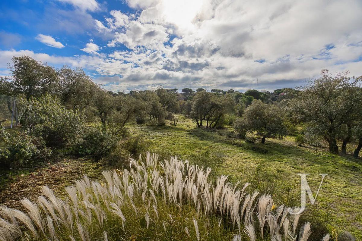 Land for sale in Pozuelo de Alarcón, Madrid photo 4