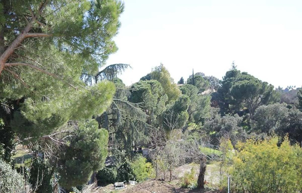 Terreno en venta en Pozuelo de Alarcón, Madrid photo 2