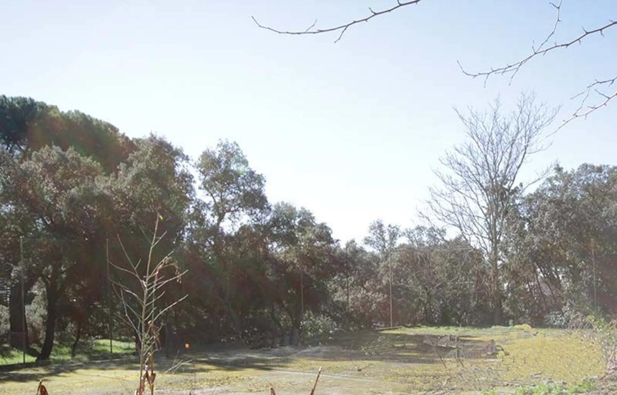 Terreno en venta en Pozuelo de Alarcón, Madrid photo 3