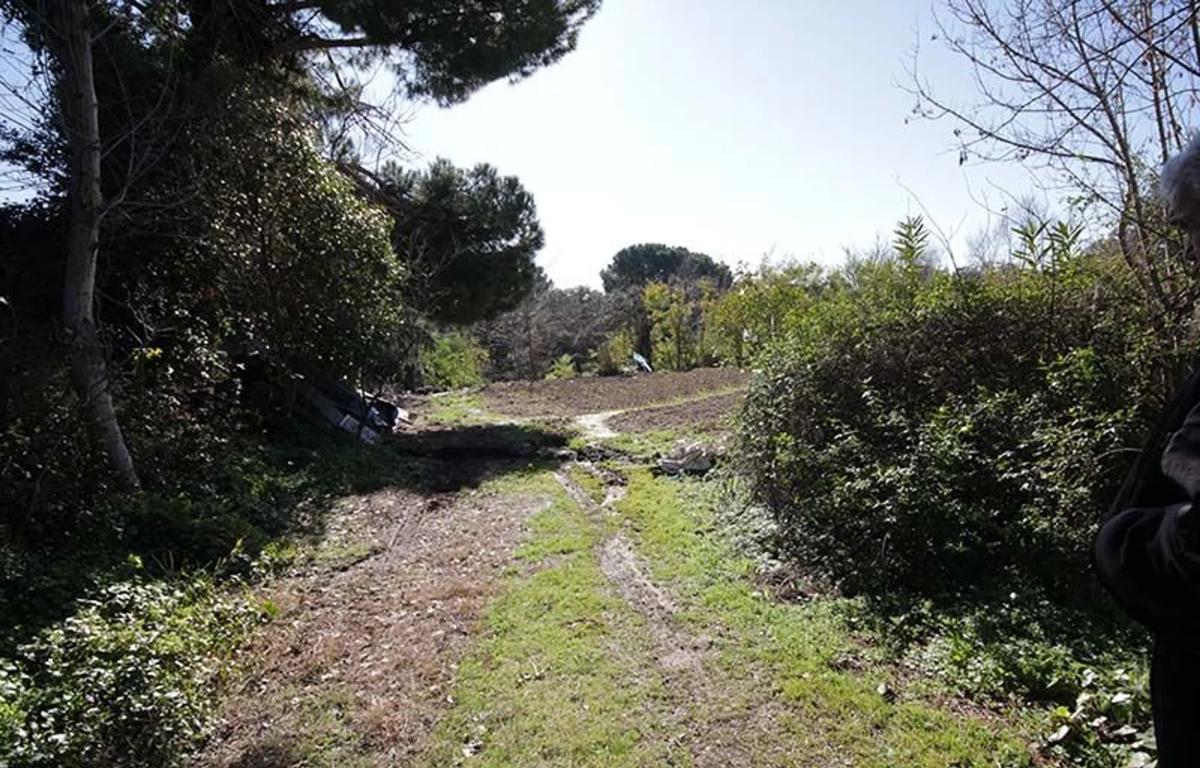 Terreno en venta en Pozuelo de Alarcón, Madrid photo 5