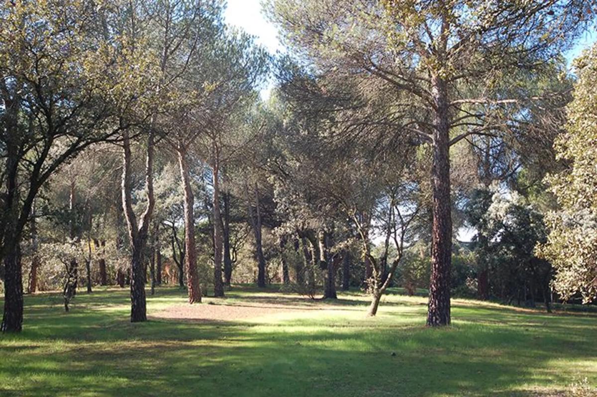 Terreno en venta en Pozuelo de Alarcón, Madrid photo 1