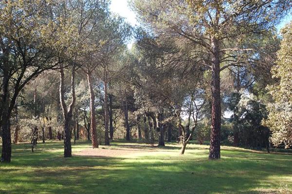 Terreno en Barrio Prado Largo photo 1