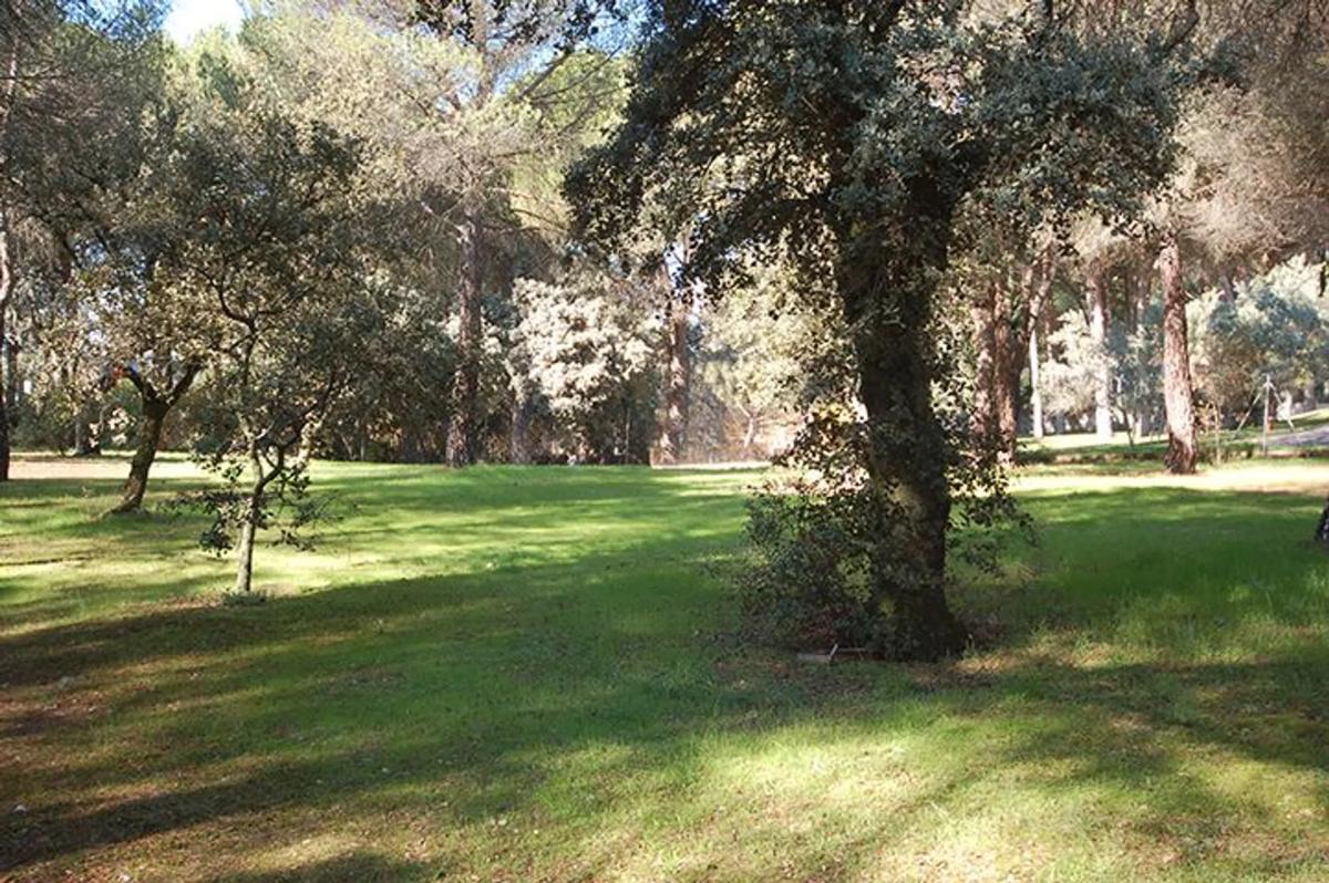 Terreno en venta en Pozuelo de Alarcón, Madrid photo 2