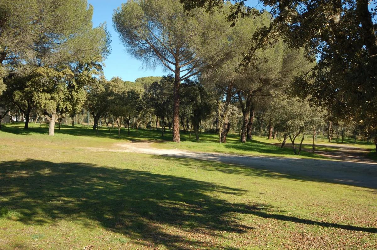 Terreno en venta en Pozuelo de Alarcón, Madrid photo 4