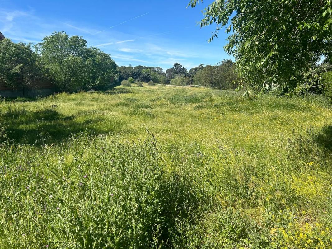Terreno en venta en Pozuelo de Alarcón, Madrid photo 1