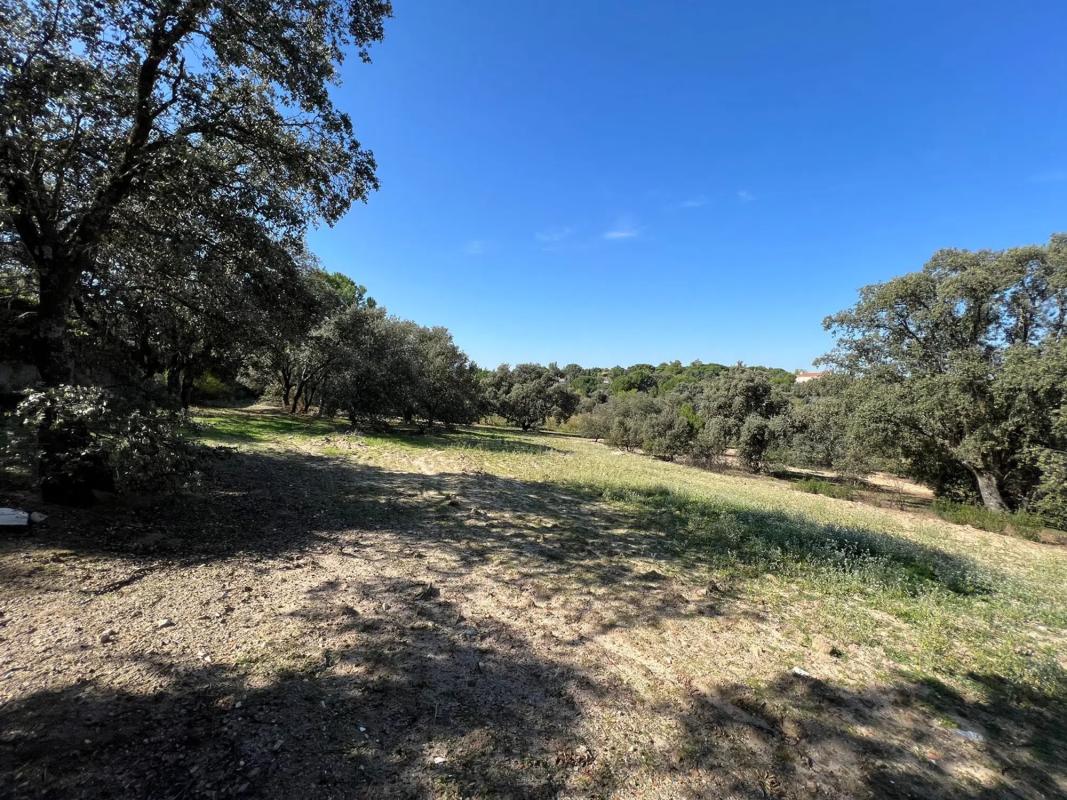 Land for sale in Pozuelo de Alarcón, Madrid photo 4
