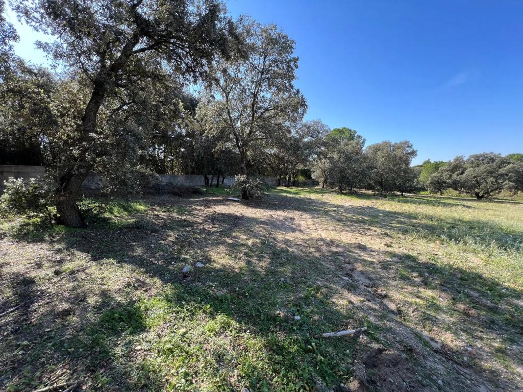 Land for sale in Pozuelo de Alarcón, Madrid photo 5