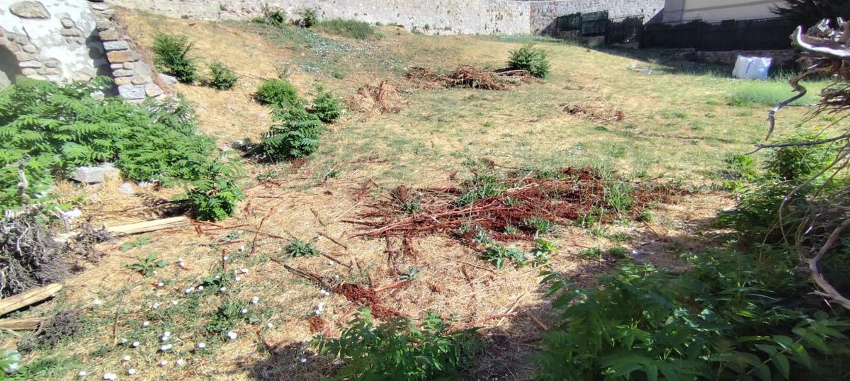 Land for sale in San Lorenzo de El Escorial, Madrid photo 4