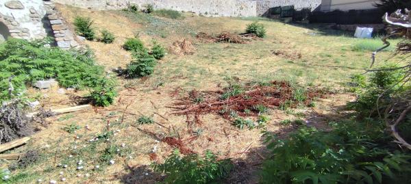 Terreno en Abantos - Carmelitas photo 4