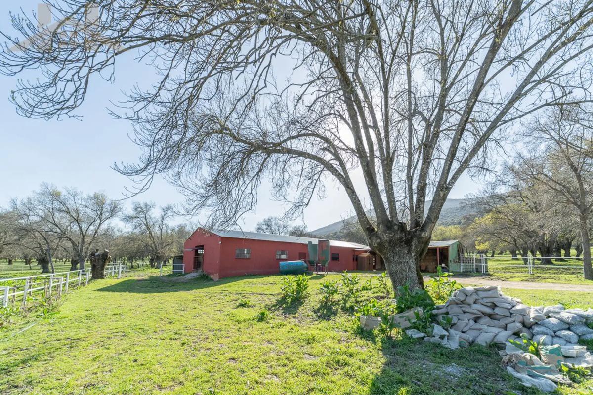 Land for sale in San Lorenzo de El Escorial, Madrid photo 3