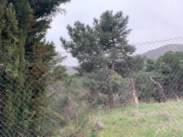 Terreno en Abantos - Carmelitas photo 1