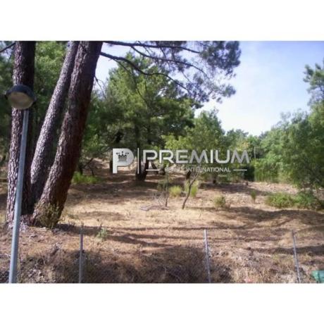 Terreno en Abantos - Carmelitas photo 3