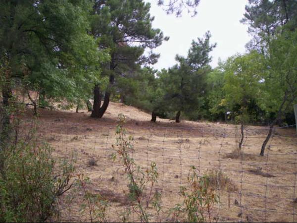 Terreno en calle los Nogales, 4 photo 3