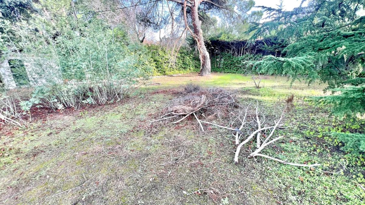 Terreno en venta en Torrelodones, Madrid photo 5