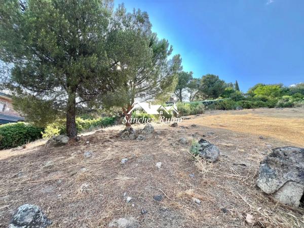 Terreno en avenida del Rodeo s/n thumbnail 1