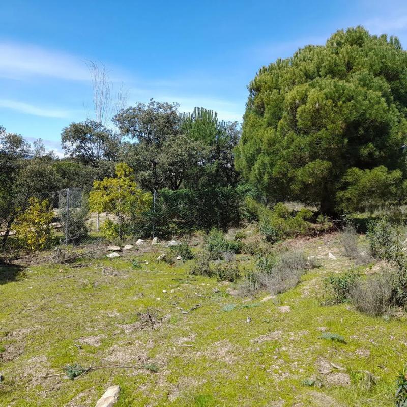 Terreno en venta en Torrelodones, Madrid photo 1