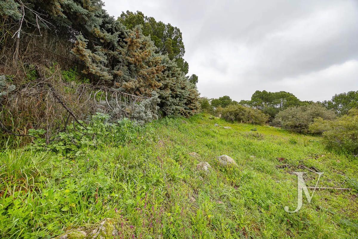 Terreno en venta en Torrelodones, Madrid photo 1