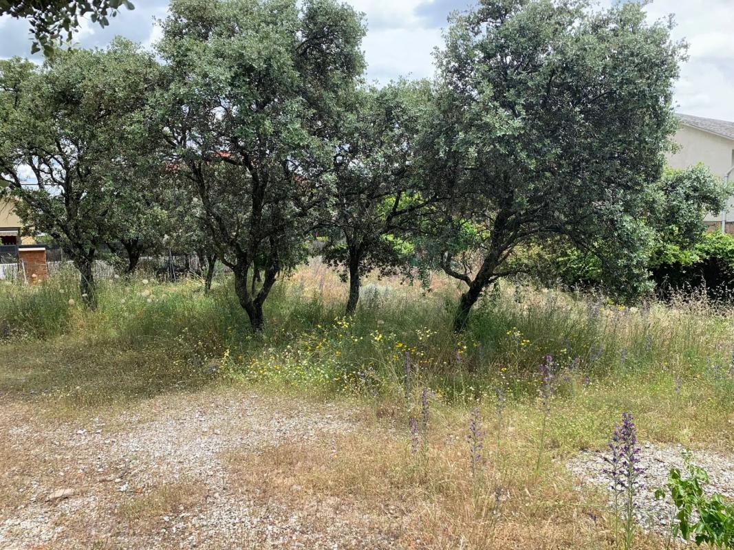 Terreno en venta en Torrelodones, Madrid photo 2