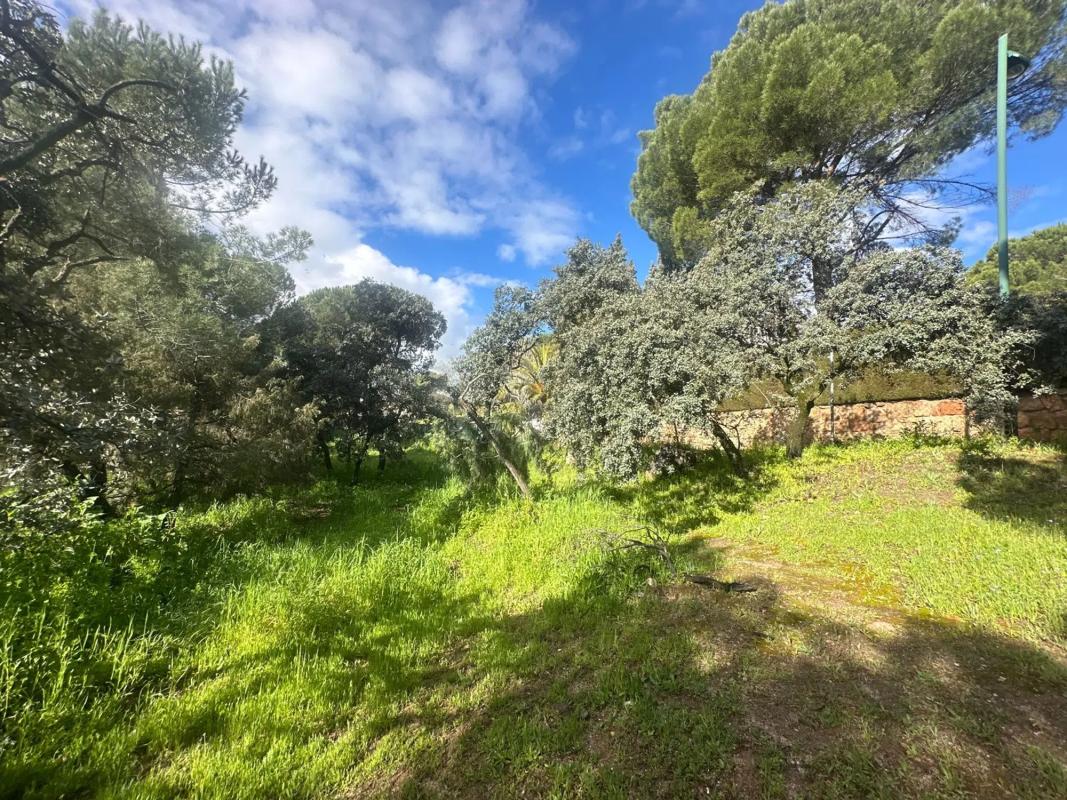 Terreno en venta en Torrelodones, Madrid photo 2
