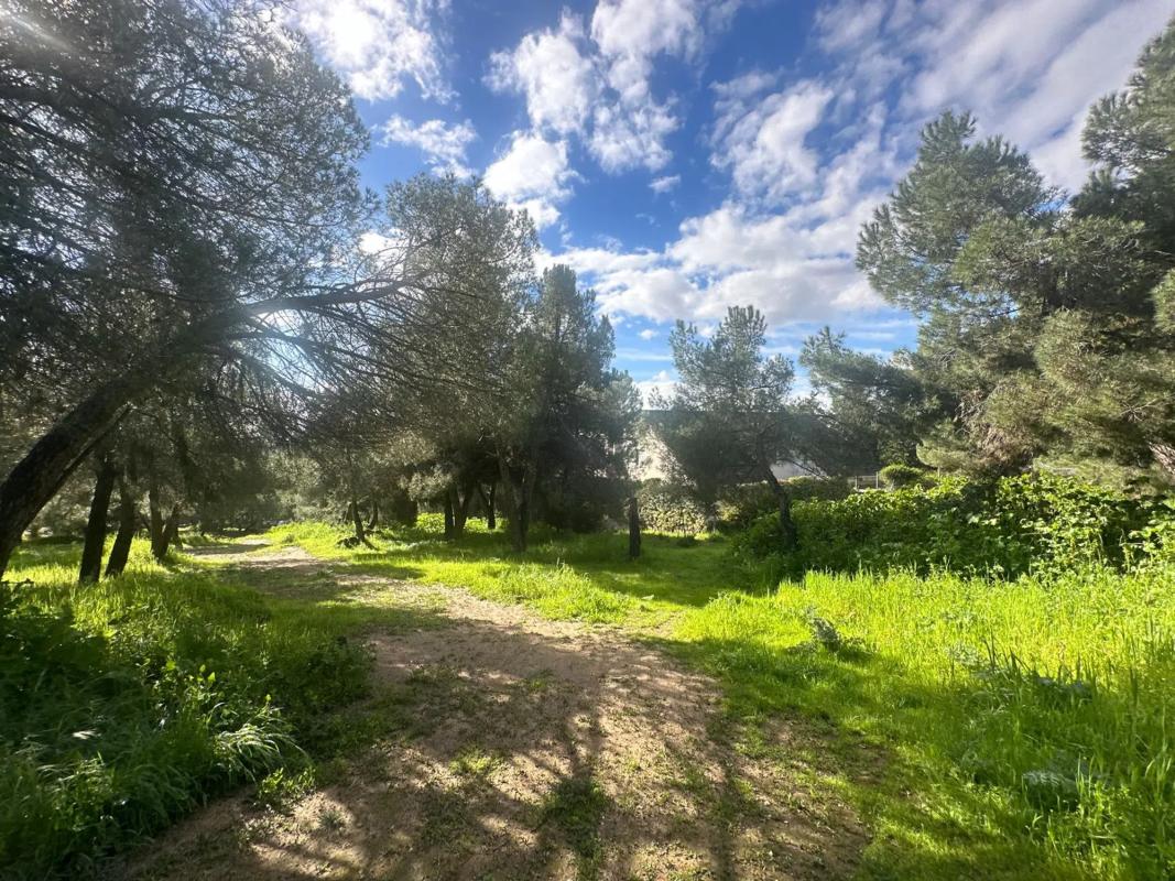 Terreno en venta en Torrelodones, Madrid photo 3