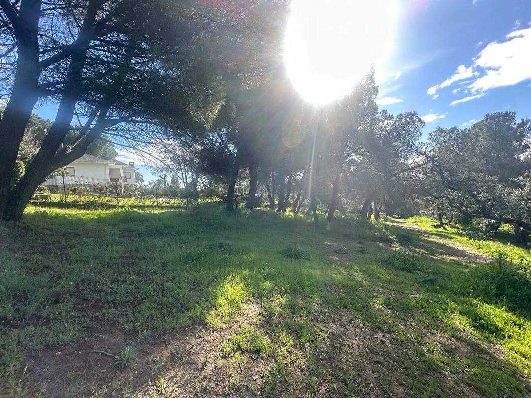 Terreno en venta en Torrelodones, Madrid photo 4