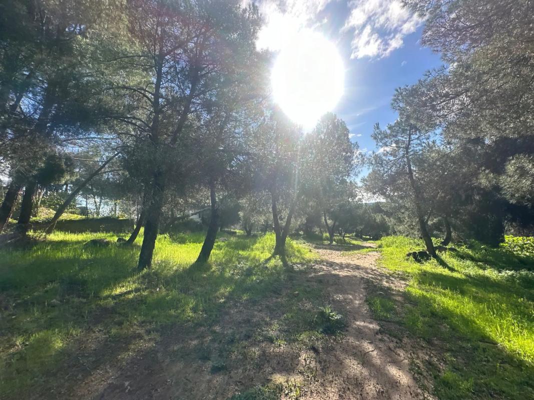 Terreno en venta en Torrelodones, Madrid photo 5