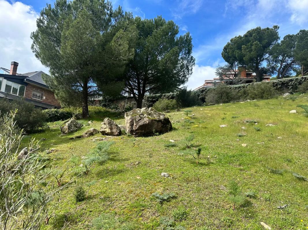 Terreno en venta en Torrelodones, Madrid photo 3