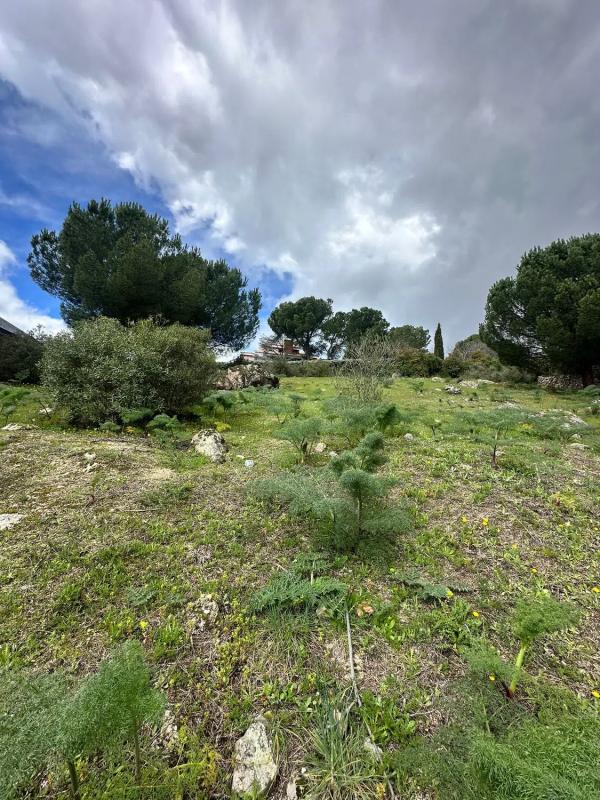 Terreno en venta en Torrelodones, Madrid photo 4