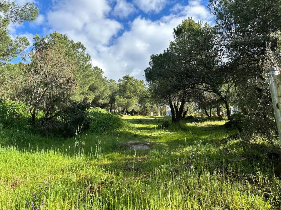 Terreno en venta en Torrelodones, Madrid photo 3