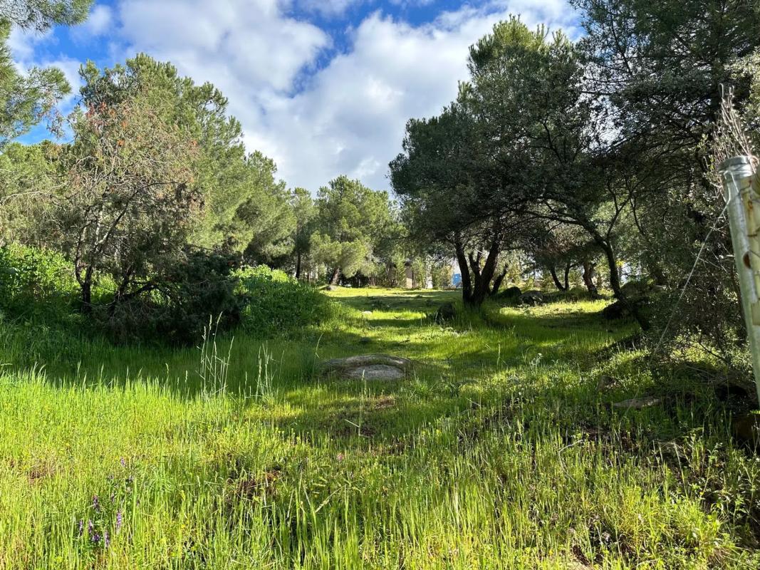 Terreno en venta en Torrelodones, Madrid photo 4