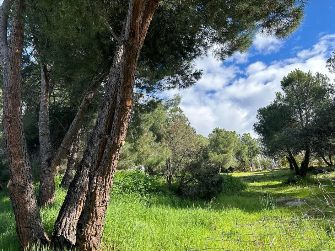 Terreno en venta en Torrelodones, Madrid photo 5