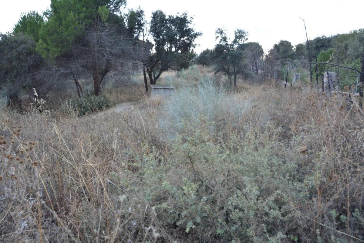 Terreno en venta en Torrelodones, Madrid photo 1