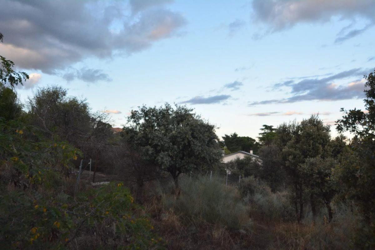 Terreno en venta en Torrelodones, Madrid photo 1