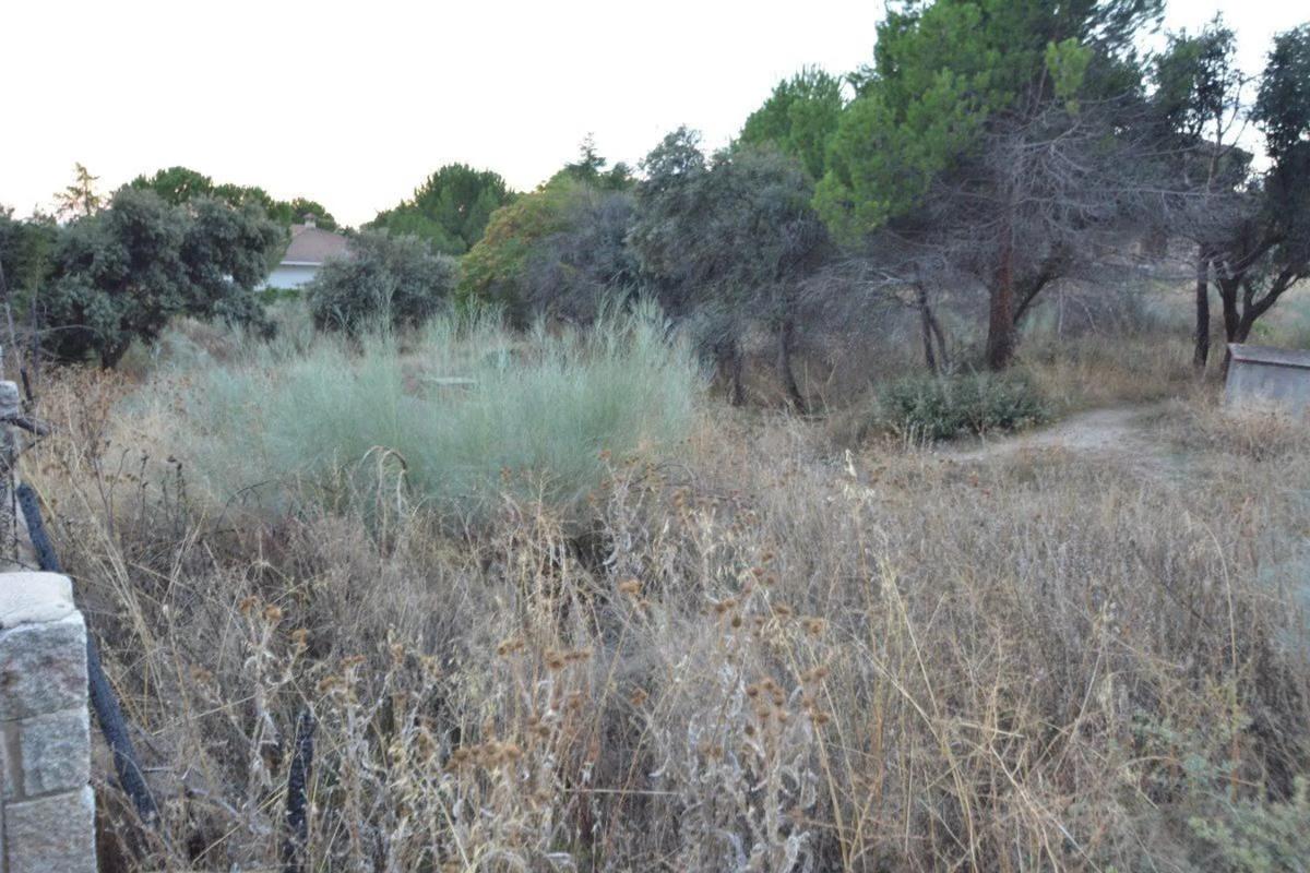 Terreno en venta en Torrelodones, Madrid photo 5